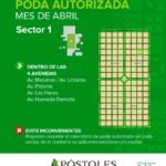 Poda autorizada en el sector 1 de nuestra ciudad