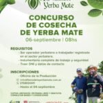 Concurso de Cosecha de Yerba Mate en Apóstoles en el Marco de la Edición 46 de la Fiesta Nacional de la Yerba Mate