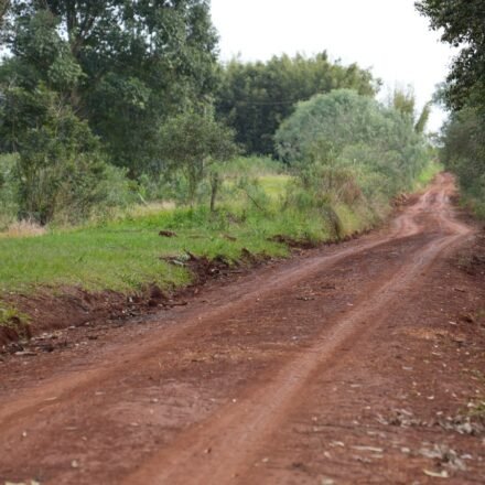 21-04-2024--Apóstoles refuerza su compromiso con el sector productivo avanza con mejoras en caminos rurales-1