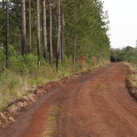 21-04-2024--Apóstoles refuerza su compromiso con el sector productivo avanza con mejoras en caminos rurales-3