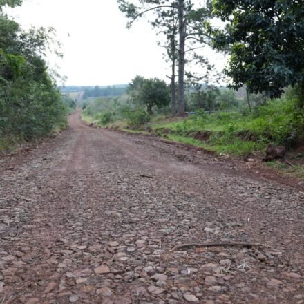 21-04-2024--Apóstoles refuerza su compromiso con el sector productivo avanza con mejoras en caminos rurales-7