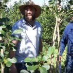 Concurso de Cosecha de Yerba Mate marca el inicio de las Actividades del marco de la 46° Fiesta Nacional e Internacional de la Yerba Mate