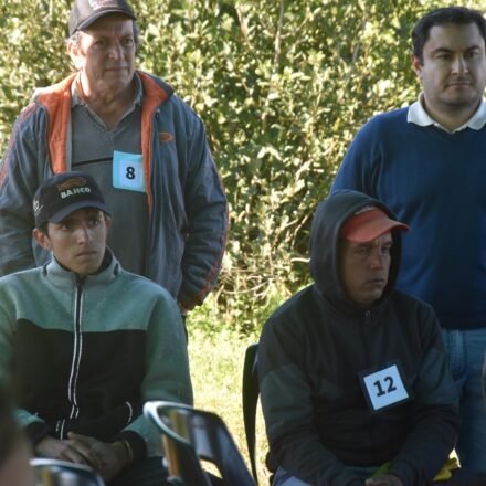 09-sep-24 - Concurso de Cosecha de Yerba Mate (5)